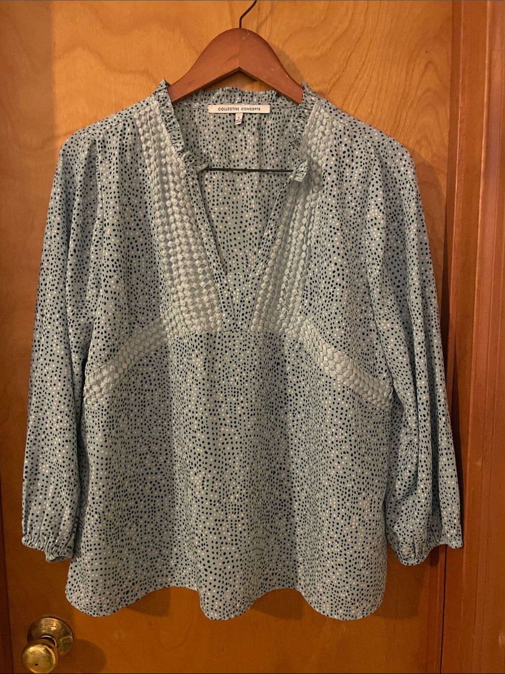 Collective Concepts Sky Blue Dot-Pattern V-Neck Blouse